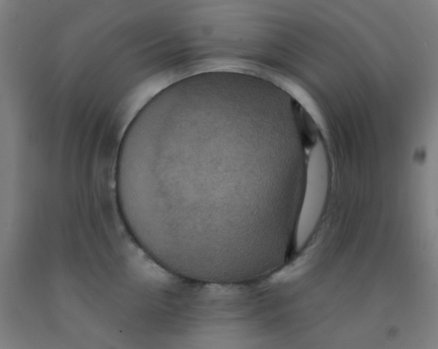 X0000092030954200709271606