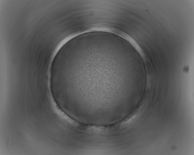 X0000092030955200709271607