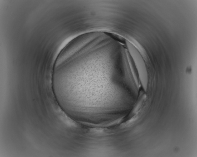 X0000092030956200709271607