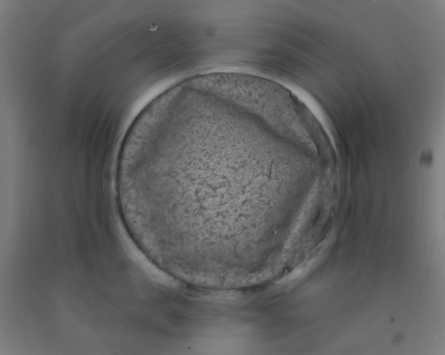 X0000092030957200709271607