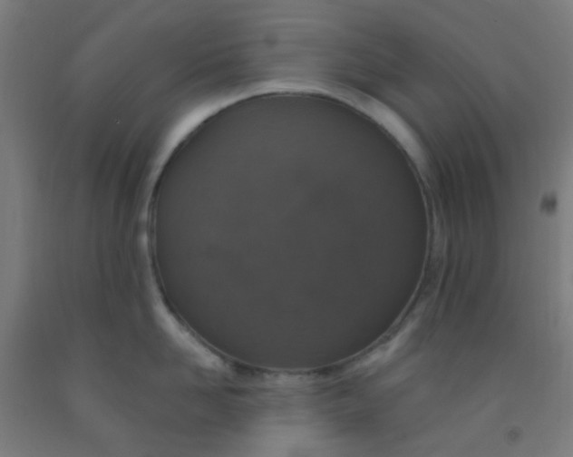 X0000092030958200709271607