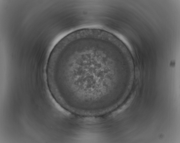 X0000092030959200709271607