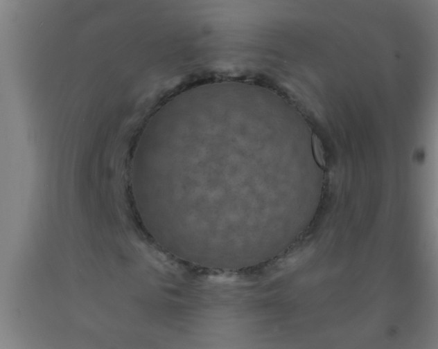 X0000092030961200709271606