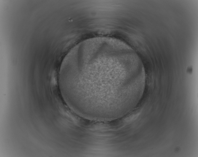 X0000092030962200709271606