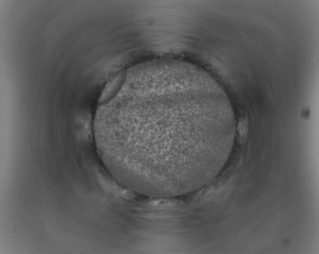 X0000092030963200709271606