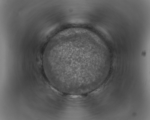 X0000092030966200709271606