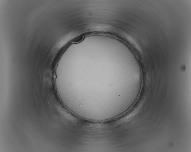 X0000092030970200709271606