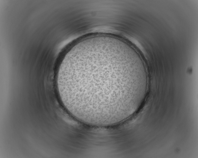 X0000092030971200709271606