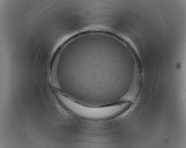 X0000092030973200709271606