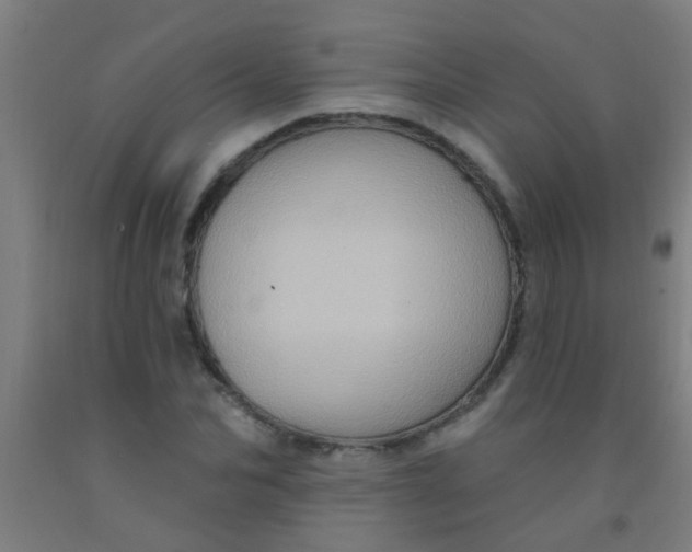 X0000092030974200709271606