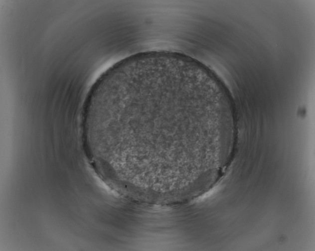 X0000092030975200709271606