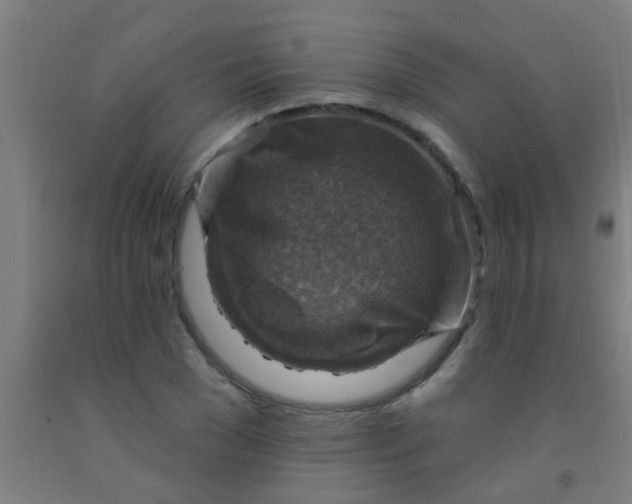 X0000092030977200709271606