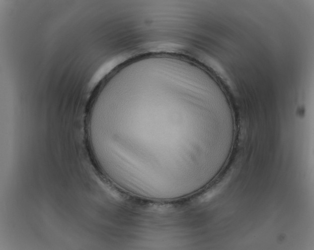 X0000092030978200709271606