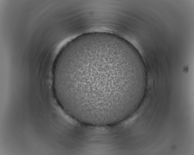 X0000092030979200709271606