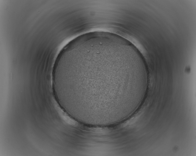 X0000092030980200709271606