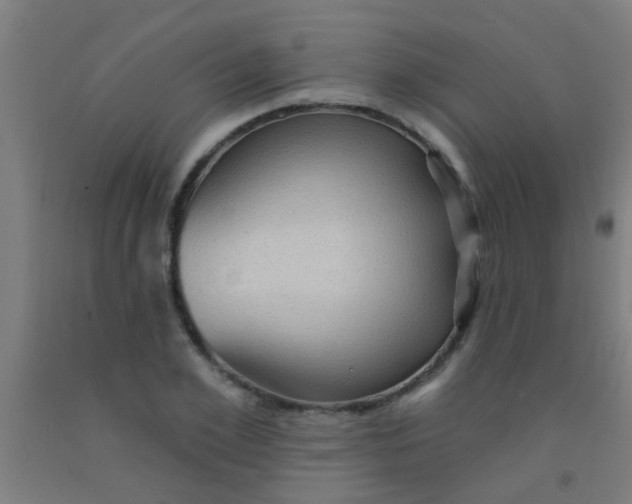 X0000092030981200709271606