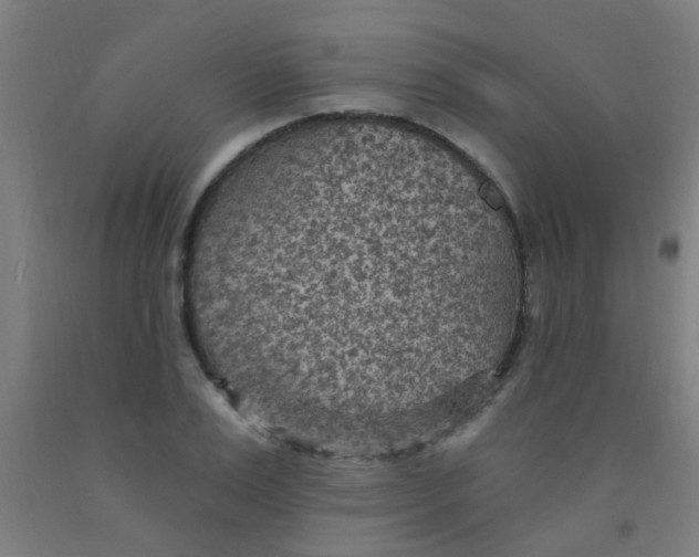 X0000092030983200709271606