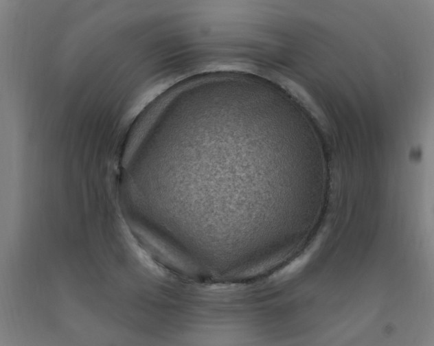 X0000092030985200709271606