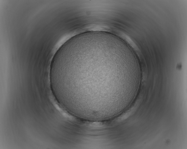 X0000092030986200709271606