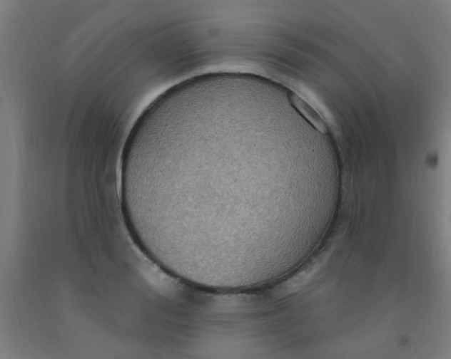 X0000092030988200709271606