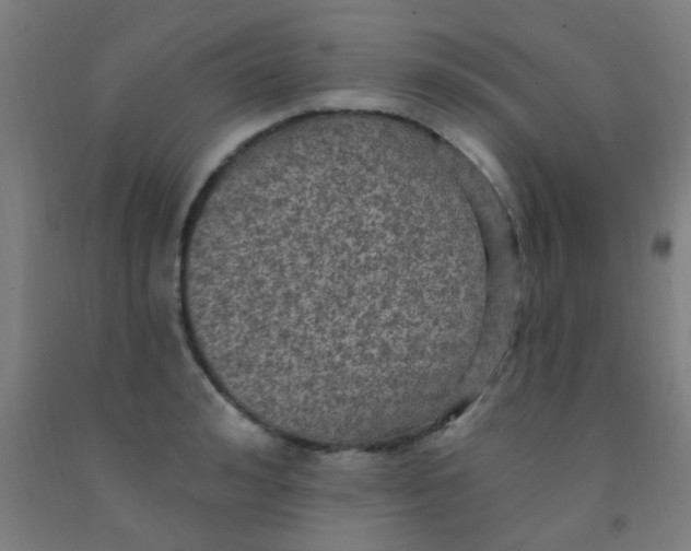 X0000092030992200709271606