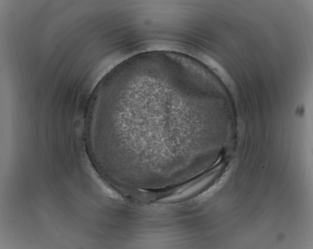 X0000092030993200709271606