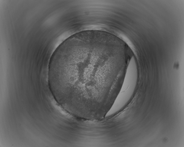 X0000092030994200709271606