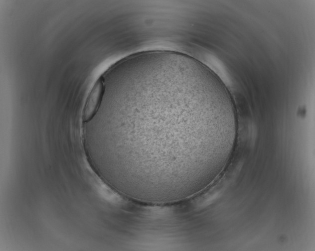 X0000092030996200709271606