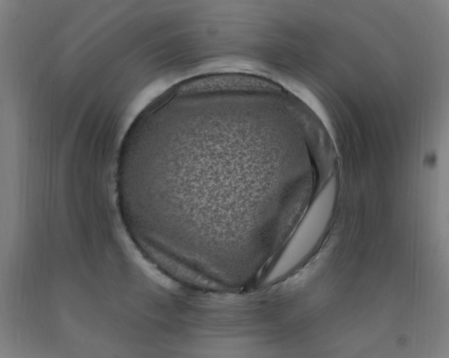 X0000092030997200709271606