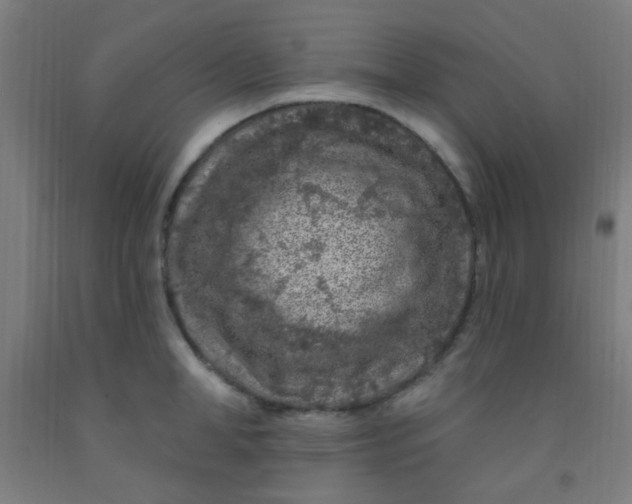 X0000092030998200709271606