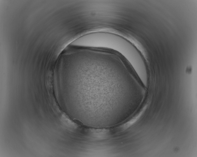 X0000092031001200709271605