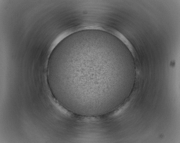 X0000092031002200709271605