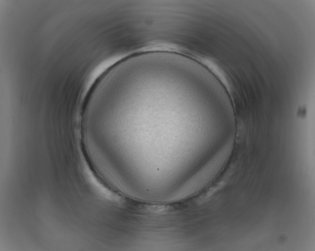 X0000092031003200709271605