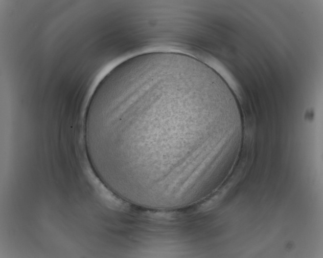 X0000092031004200709271605