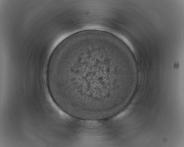 X0000092031007200709271605