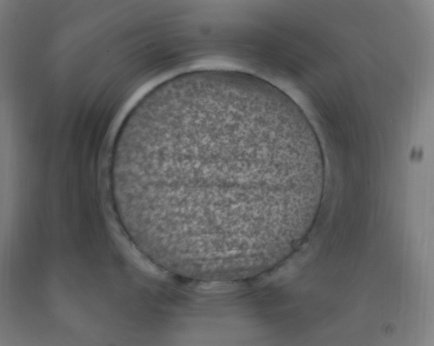 X0000092031008200709271605