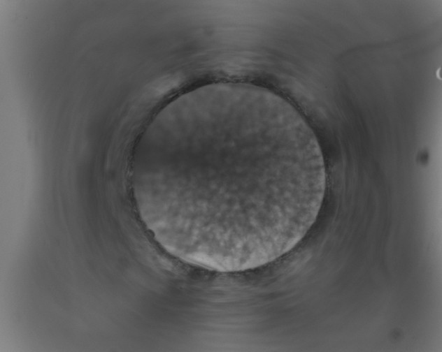 X0000092031009200709271605