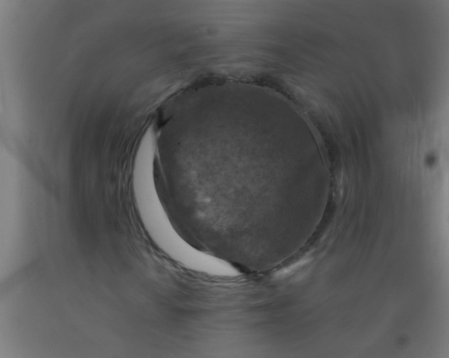 X0000092031010200709271605