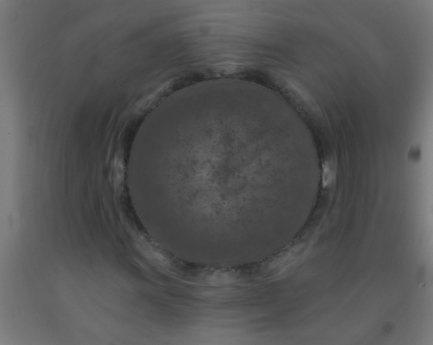 X0000092031011200709271605