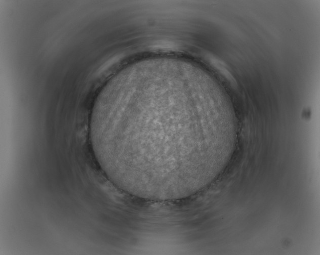 X0000092031015200709271605