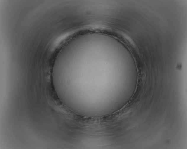 X0000092031016200709271605