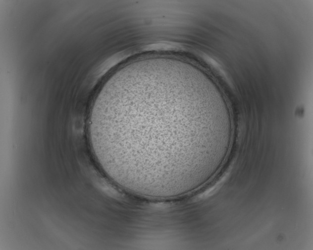 X0000092031017200709271605