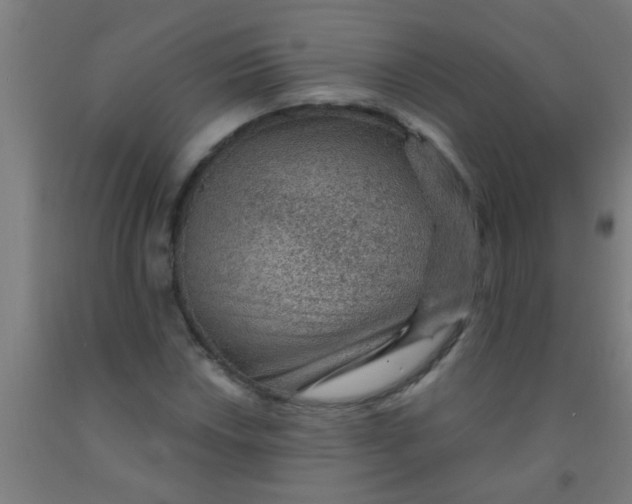 X0000092031018200709271605