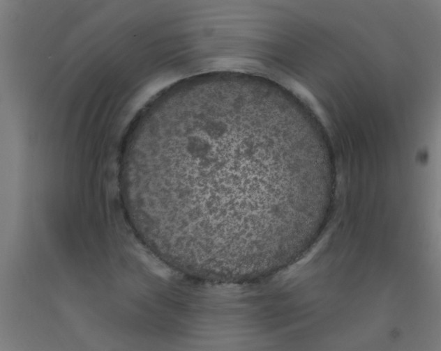 X0000092031019200709271605