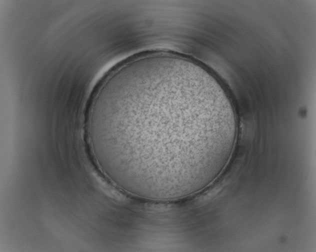 X0000092031020200709271605