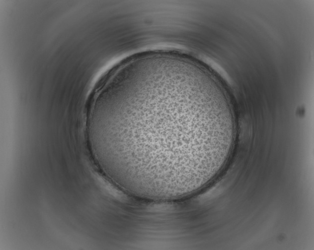 X0000092031021200709271605