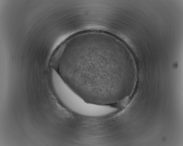 X0000092031022200709271605