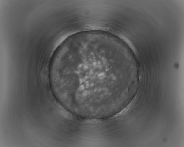 X0000092031023200709271605