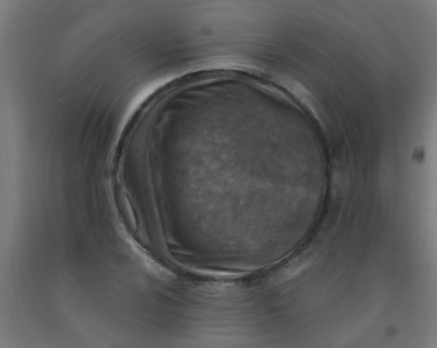 X0000092031024200709271605