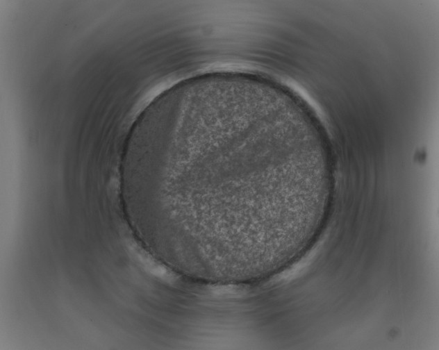 X0000092031025200709271605